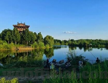 埃尔夫斯堡足球比分-埃尔夫斯堡，从比分波动中探寻足球世界的激情与变数
