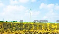 全民体育足球比分-全民体育时代，足球比分背后的全民狂欢与深度思考