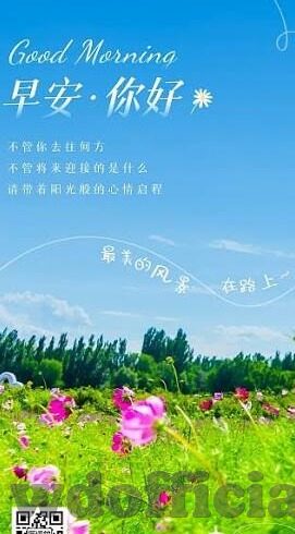 西布朗足球比分-西布朗足球比分，绿茵场上风云变幻的晴雨表