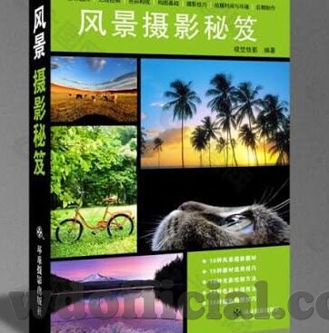 中体即时足球比分网-探秘中体即时足球比分网，球迷的实时信息宝藏库