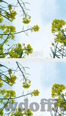 足球比分上写待定-足球比分上的待定，赛场风云的未知篇章