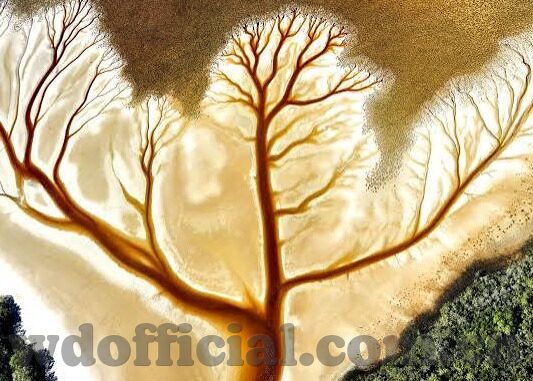 足球新浪比分-足球新浪比分，数字背后的热血与激情，解锁观赛新体验
