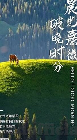 足球最新比分分析-足球最新比分分析，赛场风云背后的数据密码